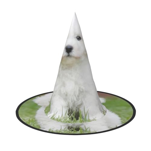 GXUNGT Hexenhut mit Bichon-Frisé-Motiv, Halloween-Hexenhut, Zaubererhut, geeignet für Karneval, Weihnachten, Maskerade, Cosplay-Party GXUNGT Hexenhut mit Bichon-Frisé-Motiv, Halloween-Hexenhut, Zaubererhut, geeignet für Karneval, Weihnachten, Maskerade, Cosplay-Party von GXUNGT