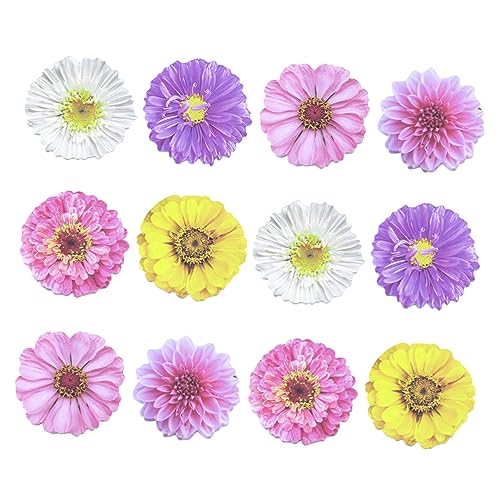 Gadpiparty 1 Satz Blumen Haftnotizen Selbstklebende Notizblätter Für Büro Schule Und Zuhause Dekorative Papiernotizen Im Gemischten Stil Für To Do Listen Und Erinnerungen 12 Stück Gadpiparty 1 Satz Blumen Haftnotizen Selbstklebende Notizblätter Für Büro Schule Und Zuhause Dekorative Papiernotizen Im Gemischten Stil Für To Do Listen Und Erinnerungen 12 Stück von Gadpiparty