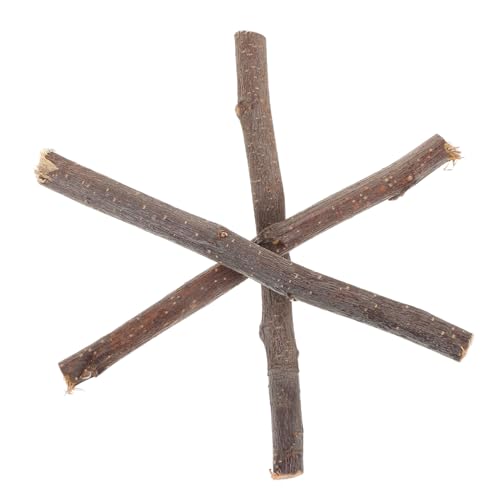Gadpiparty 10 Stück Mini -Zweig -Requisiten Protokoll Zweige zum Basteln Bastelstangen Produkte aus Treibholz natürlich DIY -Holzstangen Holzstäbchen Fotorequisite Zweige stecken hölzern Gadpiparty 10 Stück Mini -Zweig -Requisiten Protokoll Zweige zum Basteln Bastelstangen Produkte aus Treibholz natürlich DIY -Holzstangen Holzstäbchen Fotorequisite Zweige stecken hölzern von Gadpiparty