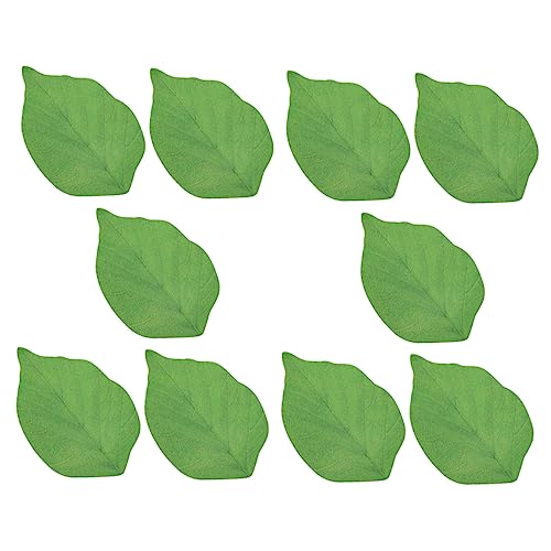 Gadpiparty 10 Stück Selbstklebende Notizzettel Design Tearable Memo Notes für Büro Schule und Zuhause Kreative Haftnotizen für Wichtige Erinnerungen und Botschaften von Gadpiparty