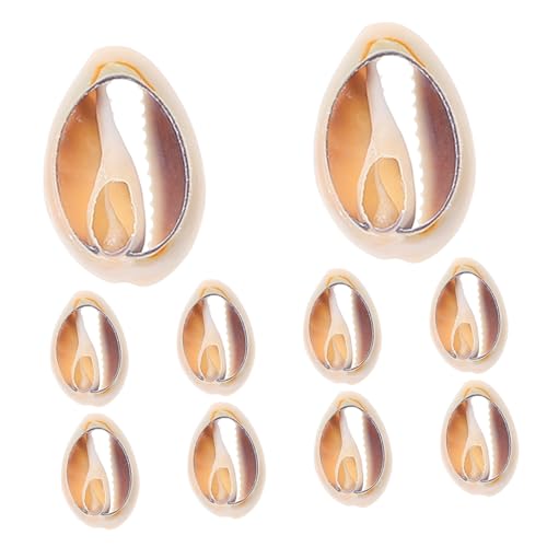 Gadpiparty 10 Stück Teiliges Kleine Natürliche Muschel anhänger mit Goldfarbenem Rand für Schmuckherstellung DIY Bastelbedarf Schmuckperlen für Halsketten Armbänder und Ohrringe Gadpiparty 10 Stück Teiliges Kleine Natürliche Muschel anhänger mit Goldfarbenem Rand für Schmuckherstellung DIY Bastelbedarf Schmuckperlen für Halsketten Armbänder und Ohrringe von Gadpiparty