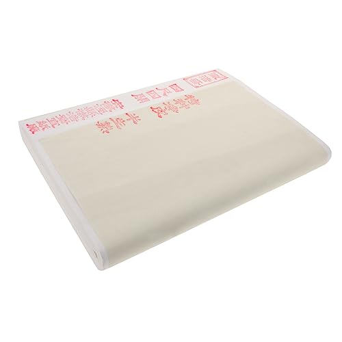 Gadpiparty 100 Blatt Multifunktionales Reispapier Hochwertiges Chinesisches Malpapier für Kalligraphie und Tuschemalerei Halbgegart für Kunst und Schreiben von Gadpiparty
