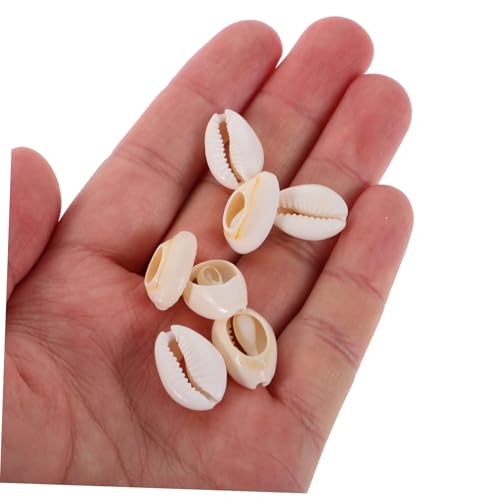 Gadpiparty 100 Stück Natürliche Handgeschnittene Muschelperlen mit Boho Strand Schmuck DIY Mittlere Vielseitig für Armbänder Halsketten Ohrringe und Strandparty Dekorationen Gadpiparty 100 Stück Natürliche Handgeschnittene Muschelperlen mit Boho Strand Schmuck DIY Mittlere Vielseitig für Armbänder Halsketten Ohrringe und Strandparty Dekorationen von Gadpiparty