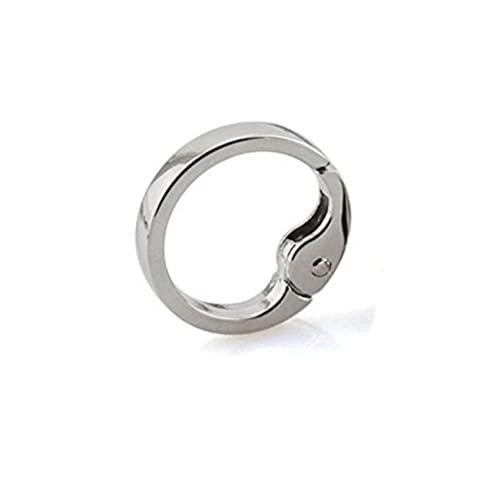 Gadpiparty 10Stücke Metall Federringe Feder Clip Schnalle für Handtaschen Schlüsselanhänger und DIY Projekte Einfach zu Bedienen für Taschen von Gadpiparty