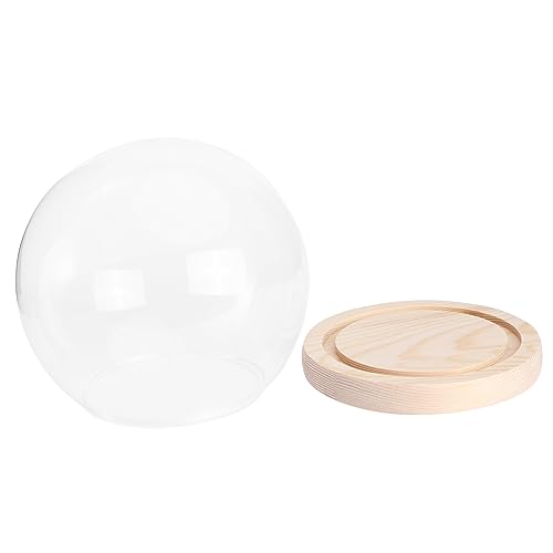 Gadpiparty 1satz Praktischer Glasdom Mit Holzsockel Modellglasabdeckung Für Figuren Erinnerungsstücke Und Dekoration Staubschutz Display Container Für Crafts Und Tischdekoration von Gadpiparty