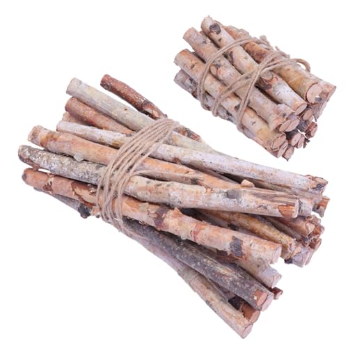 Gadpiparty 40 Stück Rindenstab klein Natürlich Stöcke Dekoration drinnen Bellen Birkenstäbchen zum Dekorieren Birkenholzdekor Birch Twig Decor Birkenstämme getrocknete Birkenzweige hölzern von Gadpiparty