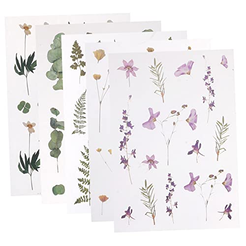 Gadpiparty 5 Stück Pflanzenaufkleber Selbstklebende Dekoration für Planer Scrapbooking und Journaling Robustem Pet Material für Diy Projekte von Gadpiparty