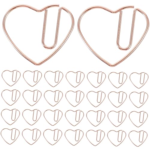 Gadpiparty 50 Stück Papierclips Süße Dekorative Büroklammern für Dokumente Notizen und Scrapbooks für Zuhause Schule und Büro Metall Clips von Gadpiparty