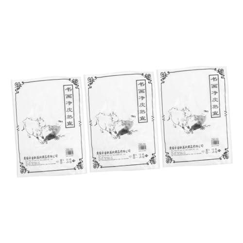 Gadpiparty 90 Stück Reispapier Übungskalligraphie Zeichenpapier Zubehör Schreibpapier Chinesisches Kunstpapier Schreibpinselpapier Sumi Papier Schreiben Xuan Papier Verdicktes von Gadpiparty