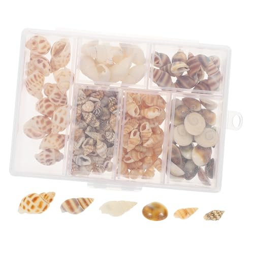 Gadpiparty Kreative Mini Muschel Zum Schmücken Von Strandmuscheln Küsten Raumdekoration Dekorative Muscheldekoration Mini Muschel Muschel Muschelanhänger Miniatur Gadpiparty Kreative Mini Muschel Zum Schmücken Von Strandmuscheln Küsten Raumdekoration Dekorative Muscheldekoration Mini Muschel Muschel Muschelanhänger Miniatur von Gadpiparty