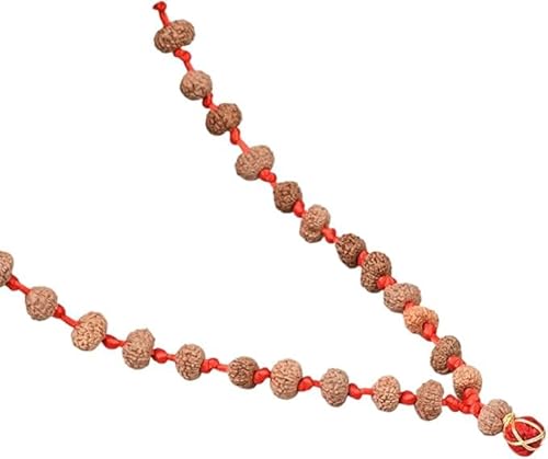 12 Mukhi Java Rudraksha Surya Radiance Mala / 12 Mukhi Rudraksha Surya Mala aus Indonesien (10 bis 14 mm) (108+1) von Ganesha Arts