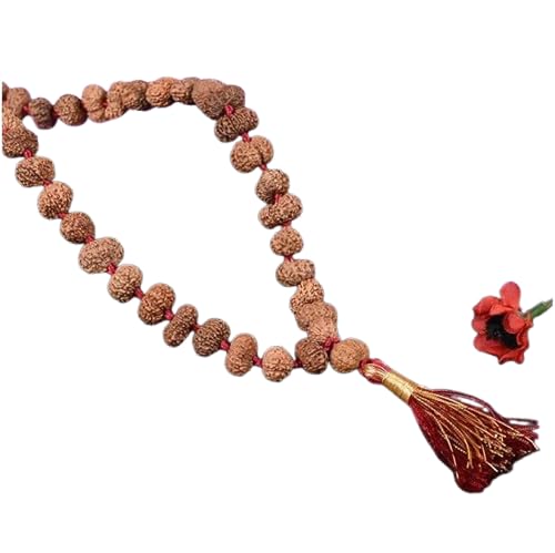12 Mukhi Java Rudraksha Surya Radiance Mala / 12 Mukhi Rudraksha Surya Mala aus Indonesien in Gewinde 11 mm (108 + 1 Perlen) von Ganesha Arts