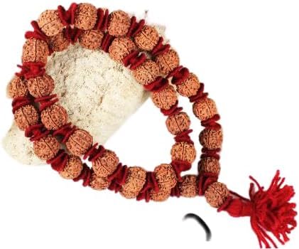 6 Mukhi Rudraksha Mnagal Kantha Powerful from Nepal / 6 Mukhi Rudraksha Mars Kantha from Nepal with Sphatik (Large) von Ganesha Arts