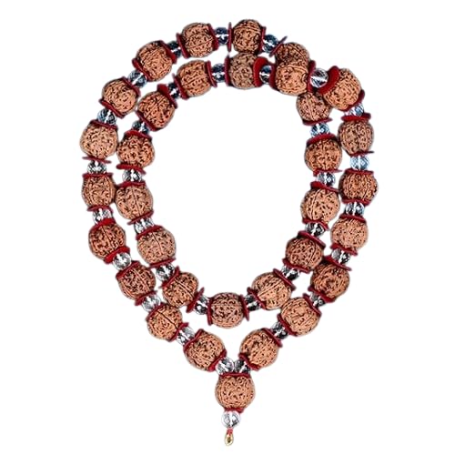 6 Mukhi Rudraksha Mnagal Kantha Powerful from Nepal / 6 Mukhi Rudraksha Mars Kantha from Nepal with Sphatik (Small) von Ganesha Arts