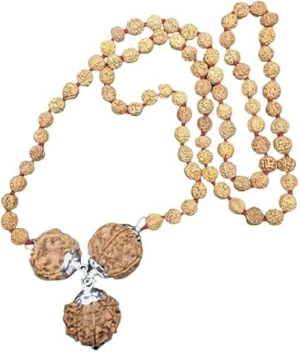 Ganesha Arts Rudraksha-Kombination für Kreativität 4,6,8 Mukhi Nepal in Silber Anhänger mit Rudraksha-Mala (groß), groß, Holz, ohne Edelstein von Ganesha Arts
