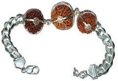 Ganesha Arts Rudraksha Kombination für totalen Schutz 9,10,11 Mukhi Nepal in Silber Armband zertifiziert (winzig), 0, Holz, ohne Edelstein von Ganesha Arts