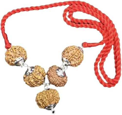 Rudraksha Kombination aus Business Power Executives & Businessmen 7,7,8,11,12 Mukhi Nepal in reinen Silberkappen mit rotem Faden (klein) von Ganesha Arts