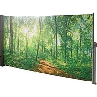 Garden Pleasure Seitenmarkise Waldlichtung mehrfarbig 160,0 x 300,0 cm von Garden Pleasure