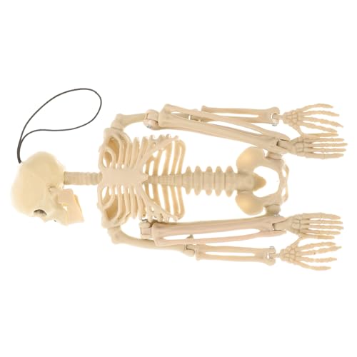 Garneck 1 Stück Halloween Skelett Deko Bewegliche Gruselige Halloween Dekoration für Spukhaus Party Lustiges Skelett Ornament für Schaurige Szenen von Garneck