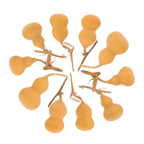 Garneck 10 Stück Anhänger Natürlicher Kürbis Mini Kürbisse Einfache Getrocknete Kürbisse Dekorative Ornamente Für Zuhause Mini Naturkürbis Erntedankfest Zum Aufhängen von Garneck