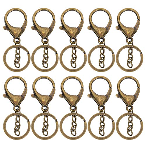10 Stück Schlüsselring Karabiner, Schlüsselanhänger Haken mit Hummerverschlüssen, Metal Karabiner Klein für Schlüsselring Clip Lanyard, Schmuck DIY(#4) von Garosa