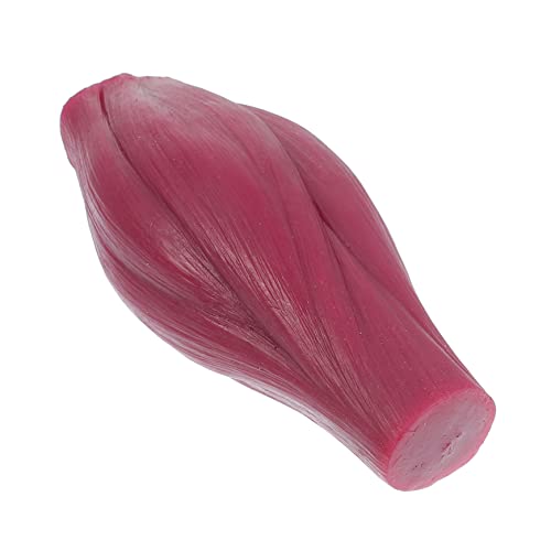Gatuida 1 Lb Muskelmodell Menschliches Muskelmodell Detailliertes Design Für Heimunterricht Und Ausbildungseinrichtungen von Gatuida