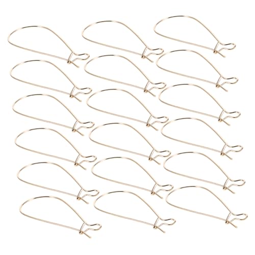Gatuida 100 Stück Ohrringhaken aus Eisen DIY Schmuckherstellung Zubehör Leichte Ohrhaken mit Glatter Oberfläche für Ohrschmuck Bastelprojekte und Personalisierte Ohrringe von Gatuida