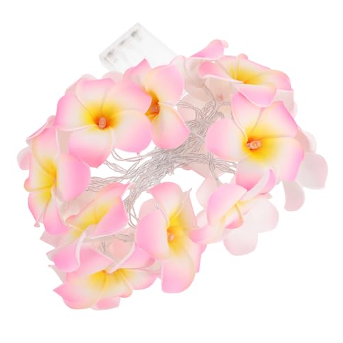 Gatuida 1satz Led Lichterkette Mit Künstlichen Plumeria-blüten Köpfe Warmweiße Beleuchtung Für Hochzeiten Feste Und Dekorationen Batteriebetrieben Gatuida 1satz Led Lichterkette Mit Künstlichen Plumeria-blüten Köpfe Warmweiße Beleuchtung Für Hochzeiten Feste Und Dekorationen Batteriebetrieben von Gatuida