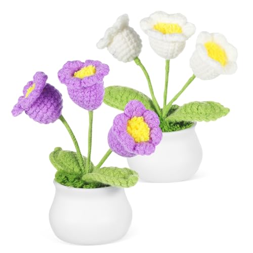 Gatuida 2 Stück Maiglöckchen Blumenornamente Dekorative Häkelblumen Strickdekor Heim Und Schreibtischdekor Strickblumendekor Zentrum Gestrickte Künstliche Blumen Büro Nelken von Gatuida