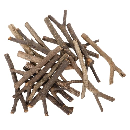 Gatuida 20 Stück Teiliges Natürliche Holzstäbe Y Förmig Robuste und Leichte DIY Holzäste für Bastelprojekte Langlebige Naturmaterialien für Kreative Handarbeiten und Modellbau Gatuida 20 Stück Teiliges Natürliche Holzstäbe Y Förmig Robuste und Leichte DIY Holzäste für Bastelprojekte Langlebige Naturmaterialien für Kreative Handarbeiten und Modellbau von Gatuida