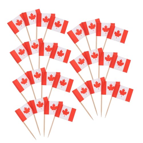 Gatuida 200 Stücke Mini Amerikanische Flaggen Zahnstocher Cupcake Topper Flagge Für Party Gatuida 200 Stücke Mini Amerikanische Flaggen Zahnstocher Cupcake Topper Flagge Für Party von Gatuida