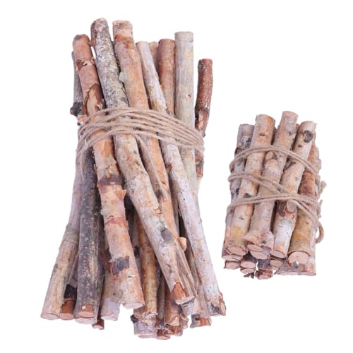 Gatuida 40 Stück Teiliges Birkenzweige Natürliche Getrocknete Holzstäbe für DIY Tischdekoration Rustikales Flair Vasenfüller ohne Pflege für Hochzeiten Weihnachten von Gatuida