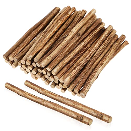 Gatuida 50Stücke Holzstäbchen für Handwerk Natürliche Bastelstäbe mit Rinde für DIY Dekorationen und Projekte von Gatuida