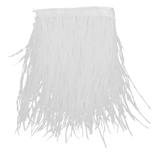Gcljlmy Straußenfransen für Kostüme, Nähen, Basteln, Dekoration für Kleid, Handwerk, Kleidung, 9 - 15 cm, 13 Stück Gcljlmy Straußenfransen für Kostüme, Nähen, Basteln, Dekoration für Kleid, Handwerk, Kleidung, 9 - 15 cm, 13 Stück von Gcljlmy