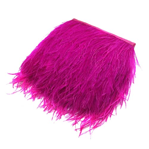 Straußenfeder-Fransenborte für Kostüm, Nähen, Basteln, Dekoration, 9-15 cm, Rosenrot Straußenfeder-Fransenborte für Kostüm, Nähen, Basteln, Dekoration, 9-15 cm, Rosenrot von Geardeangloow