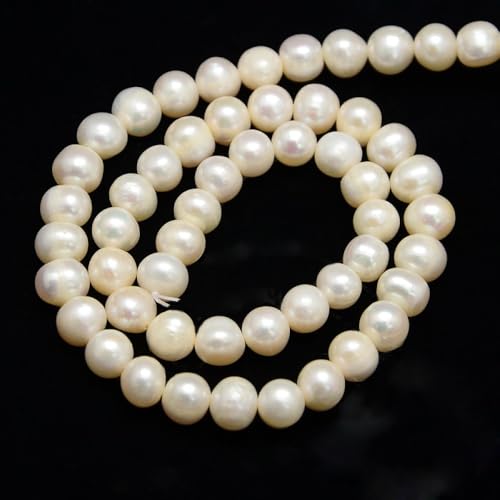 Gelirda 45 Stück 7-8 mm cremeweiße Perlen mit Loch glatte runde Perlen Abstandshalter Perlen Süßwasserperlen lose Perlen Strang für Schmuckherstellung Gelirda 45 Stück 7-8 mm cremeweiße Perlen mit Loch glatte runde Perlen Abstandshalter Perlen Süßwasserperlen lose Perlen Strang für Schmuckherstellung von Gelirda