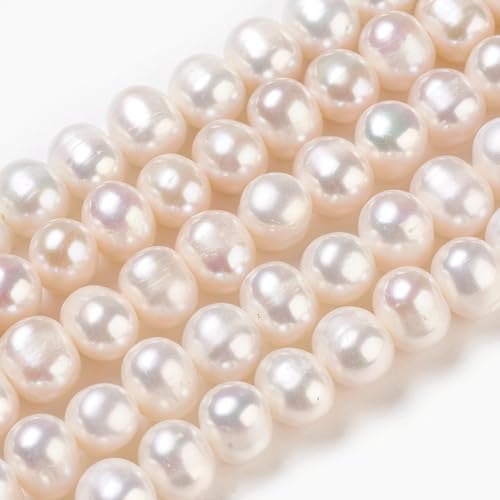 Gelirda 45 Stück 8-9 mm Muschelfarbe Perlen mit Loch, natürliche runde Form, lose Perlen, Süßwasserperlen, Abstandshalter, Strang für Schmuckherstellung, Ohrringherstellung, Bastelbedarf Gelirda 45 Stück 8-9 mm Muschelfarbe Perlen mit Loch, natürliche runde Form, lose Perlen, Süßwasserperlen, Abstandshalter, Strang für Schmuckherstellung, Ohrringherstellung, Bastelbedarf von Gelirda