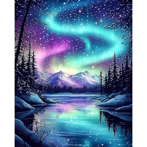 Gemartmall Malen Nach Zahlen Erwachsene Aurora- Landschaft Malen Nach Zahlen Erwachsene Leinwand zur Geschenk und Wohndeko 40x50 cm von Gemartmall