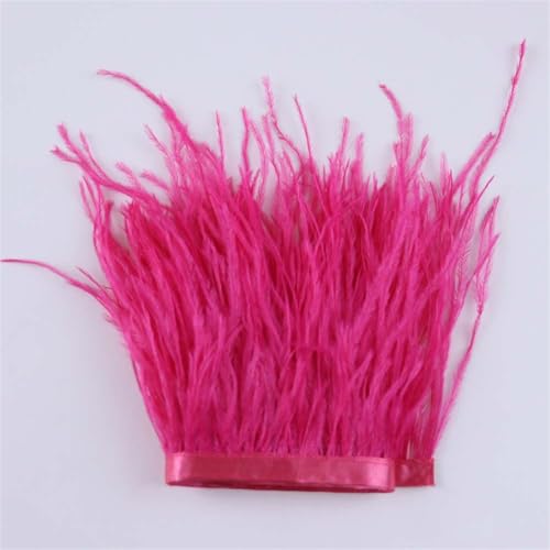 1 Meter/buntes Straußenfeder-Band, 10–15 cm, für Hemd, Hochzeitskleid, Nähen, Dekoration, Basteln, 02 1 Meter/buntes Straußenfeder-Band, 10–15 cm, für Hemd, Hochzeitskleid, Nähen, Dekoration, Basteln, 02 von Generic