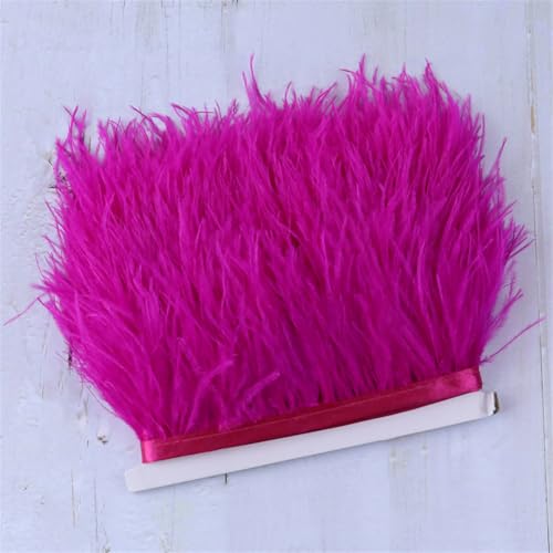1 Meter Straußenfeder-Bordüre, Fransenband, Dekoration für DIY, Hochzeitskleid, Partyzubehör, Basteln, Rose 1 Meter Straußenfeder-Bordüre, Fransenband, Dekoration für DIY, Hochzeitskleid, Partyzubehör, Basteln, Rose von Generic