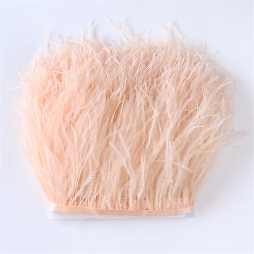 1 Meter natürliche Straußenfeder-Bordüre, Fransen, 10-18 cm Länge, für Basteln, DIY, Partykleider, Kleidung, Nähen, Dekoration, Zubehör, Champange 1 Meter natürliche Straußenfeder-Bordüre, Fransen, 10-18 cm Länge, für Basteln, DIY, Partykleider, Kleidung, Nähen, Dekoration, Zubehör, Champange von Generic
