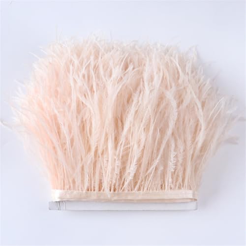 1 Meter natürliche Straußenfeder-Bordüre, Fransen, 10-18 cm Länge, für Basteln, DIY, Partykleider, Kleidung, Nähen, Dekoration, Zubehör, Haut, Pnnrk 1 Meter natürliche Straußenfeder-Bordüre, Fransen, 10-18 cm Länge, für Basteln, DIY, Partykleider, Kleidung, Nähen, Dekoration, Zubehör, Haut, Pnnrk von Generic