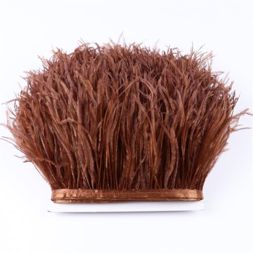 1 Meter natürliche Straußenfeder-Bordüre, Fransen, 10-18 cm Länge, für Basteln, DIY, Partykleider, Kleidung, Nähen, Dekoration, Zubehör, roter Kaffee 1 Meter natürliche Straußenfeder-Bordüre, Fransen, 10-18 cm Länge, für Basteln, DIY, Partykleider, Kleidung, Nähen, Dekoration, Zubehör, roter Kaffee von Generic