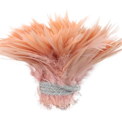 1 Rolle farbige Fasanenfedern für Handwerk, Schmuck, Hochzeit, Party, Dekoration, Bastelzubehör, Muschel, Pnnrk 2 1 Rolle farbige Fasanenfedern für Handwerk, Schmuck, Hochzeit, Party, Dekoration, Bastelzubehör, Muschel, Pnnrk 2 von Generic