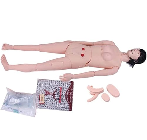 165 cm Krankenpflegemodell, medizinisches Mannequin-Modell, Damensimulation, menschliches Körpermodell, Gyodx-Modell, Mo von Generic