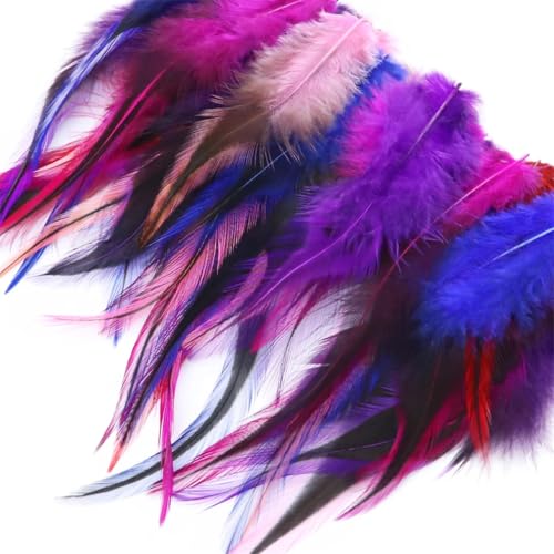 20 Stück/50 Stück gefärbte Hahnschwanzfedern 10,2 - 15,2 cm für DIY Kleidung Kleider Heimdekoration Handwerk 16 50 Stück 20 Stück/50 Stück gefärbte Hahnschwanzfedern 10,2 - 15,2 cm für DIY Kleidung Kleider Heimdekoration Handwerk 16 50 Stück von Generic