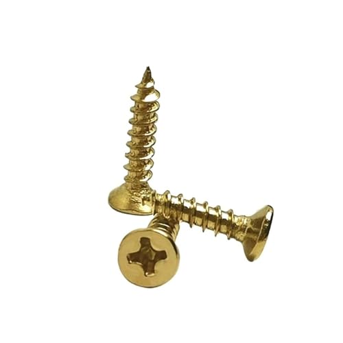 300 Stück M2 selbstschneidende Schrauben 5 mm 8 mm 10 mm Eisenbronze Hardware Holzkisten Möbelbeschläge Zubehör Befestigungselemente (Gelb, 10MM_M2) von Generic