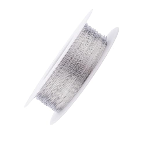 304 Edelstahl Draht - 0,04mm Stärke, 328ft Länge, Weich, Rostfrei, Einzeldraht, Umwickelungsdraht, Basteldraht(0.06mm X 100M) von Generic