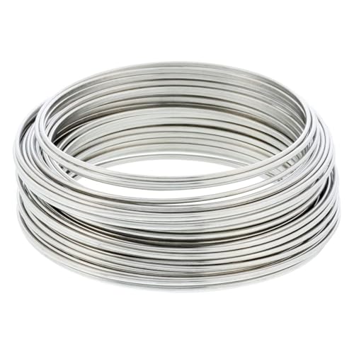 304 Edelstahl Draht - 0,04mm Stärke, 328ft Länge, Weich, Rostfrei, Einzeldraht, Umwickelungsdraht, Basteldraht(2mm X 5M) von Generic