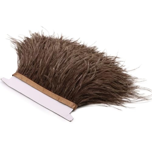5/10 Meter Straußenfeder-Bordüre, Fransen, Straußen, Dekoration, Zierborten für Partykleid, Nähzubehör, Kaffee, 5 Meter 5/10 Meter Straußenfeder-Bordüre, Fransen, Straußen, Dekoration, Zierborten für Partykleid, Nähzubehör, Kaffee, 5 Meter von Generic